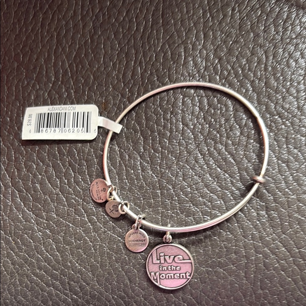 Alex and Ani “live in the moment” washed Silver Charm Bangle